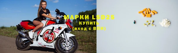 шишки Абинск