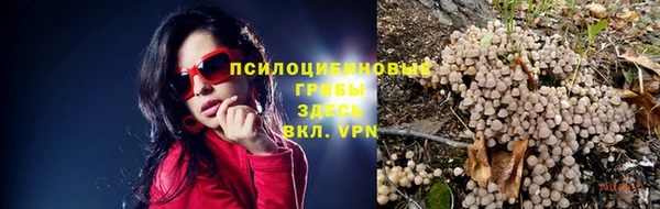 круглые Алексин